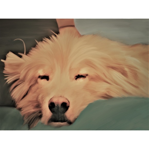 CUSTOM FRAMED PET PORTRAIT PAINTING - Picture 5 of 7